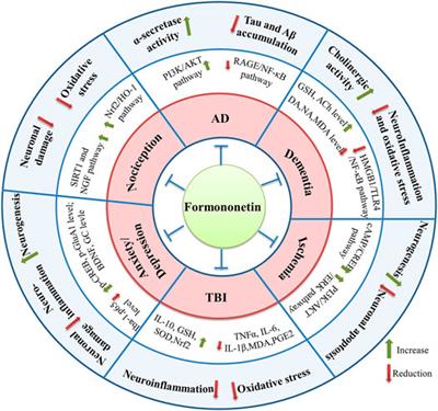 Focusing on Formononetin: Recent Perspectives for its Neuroprotective Potentials